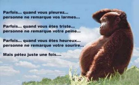 Juste pr rire un ti peu...